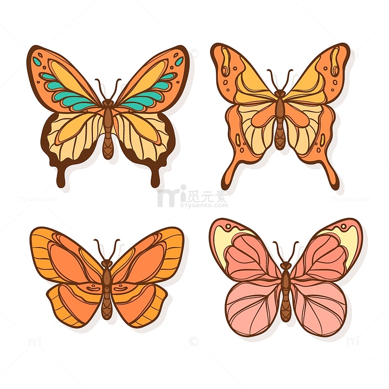 橙色花蝴蝶标本