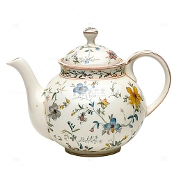 花纹的茶壶瓷器