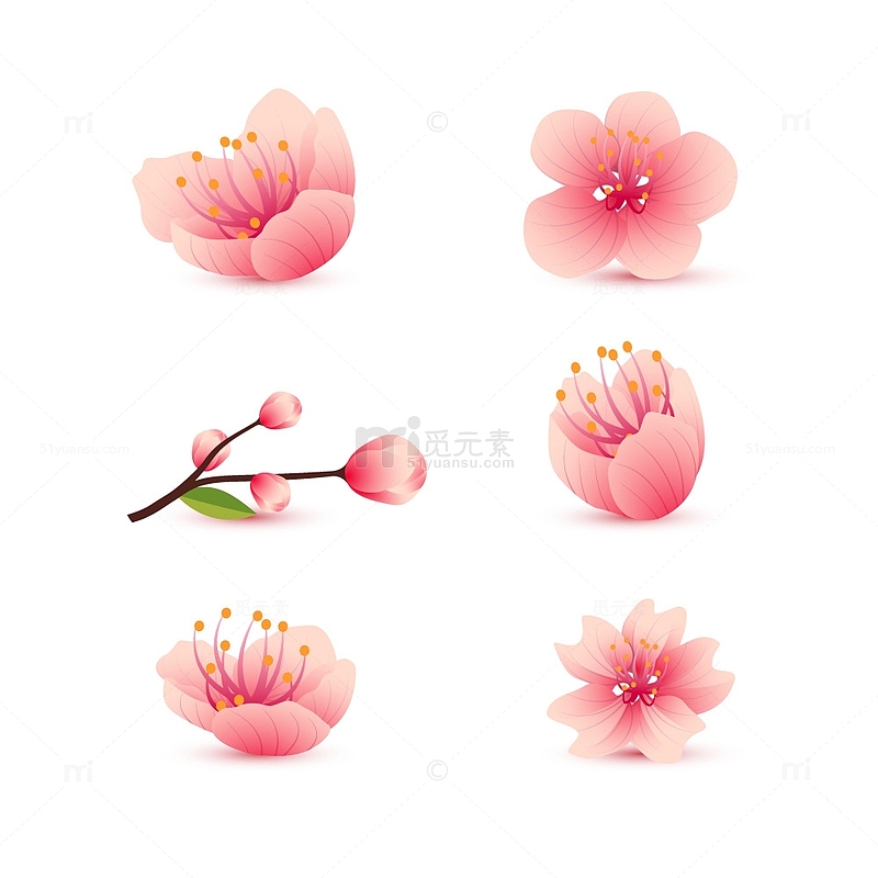 桃花花朵花枝手绘元素