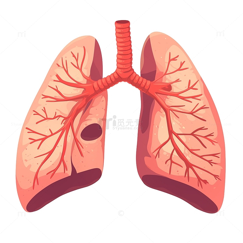 肺部卡通插画