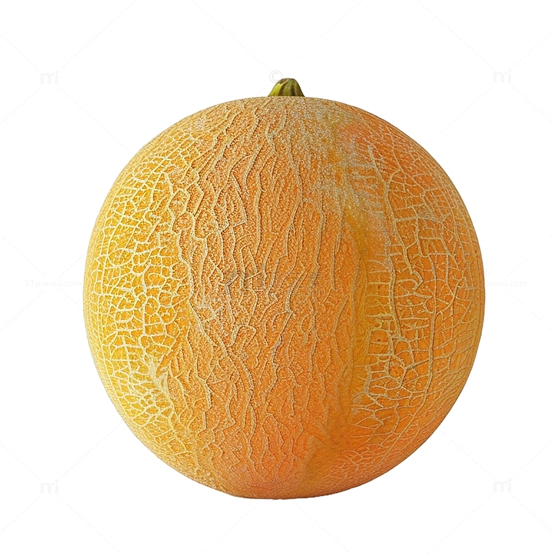 一个水果哈密瓜