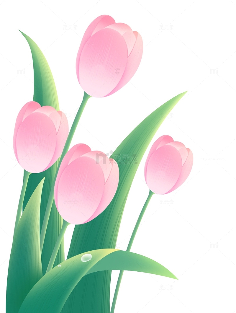 春季春天植物简约粉色花朵郁金香元素