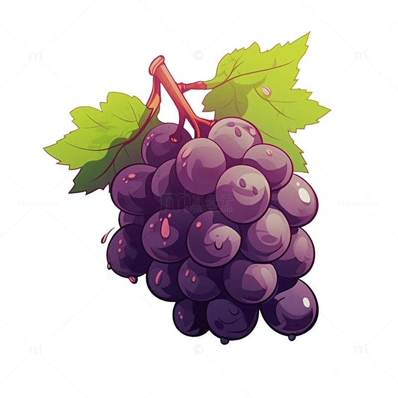 手绘插画葡萄水果