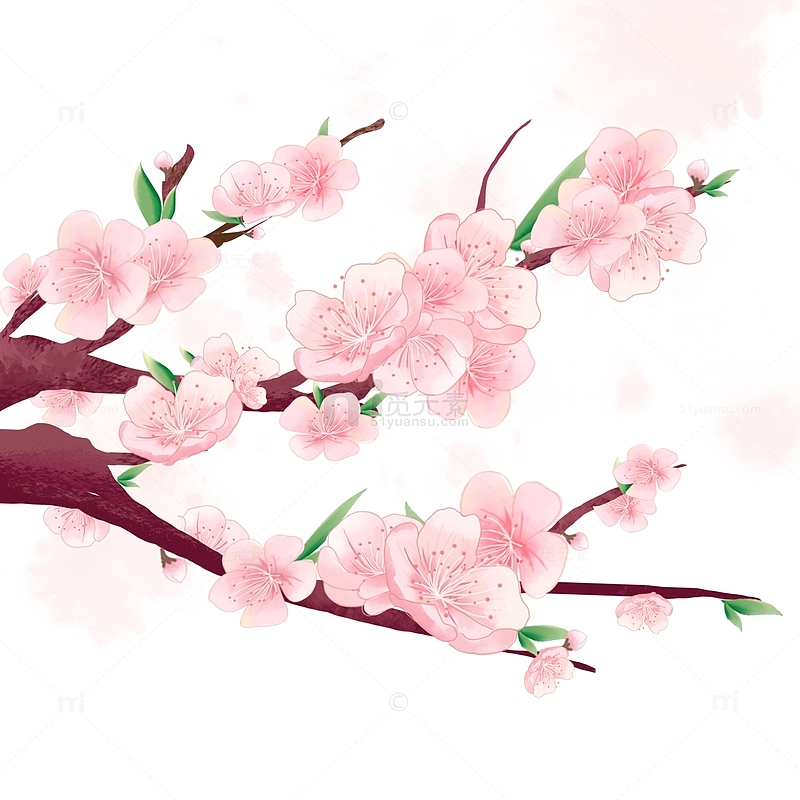 浪漫唯美小清新春季樱花植物装饰元素