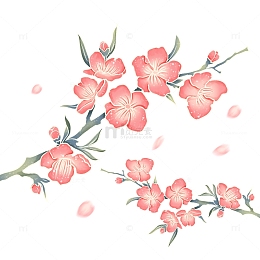 中国风国潮春季桃花樱花树枝手绘元素