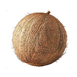 热带水果椰子