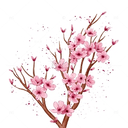 手绘梦幻樱花花卉花枝