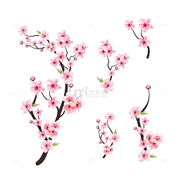 粉色樱花桃花花枝
