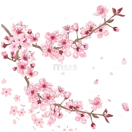 飘落的樱花花瓣