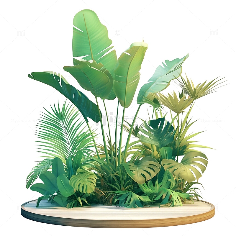 热带植物背景展台