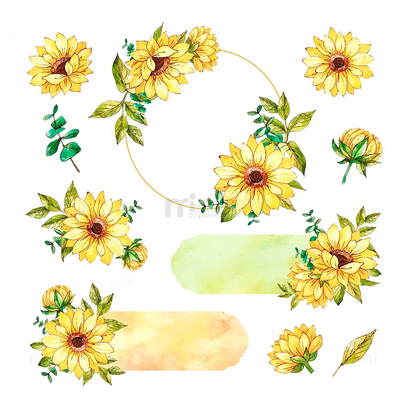 水彩花卉向日葵边框主题框装饰