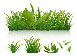手绘春季绿色小草