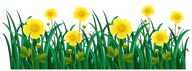 草地上的黄色花朵