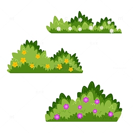 花朵盛开的灌木插图
