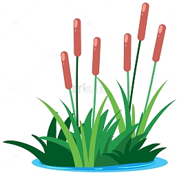 卡通一丛花草