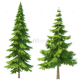 卡通的松柏树木