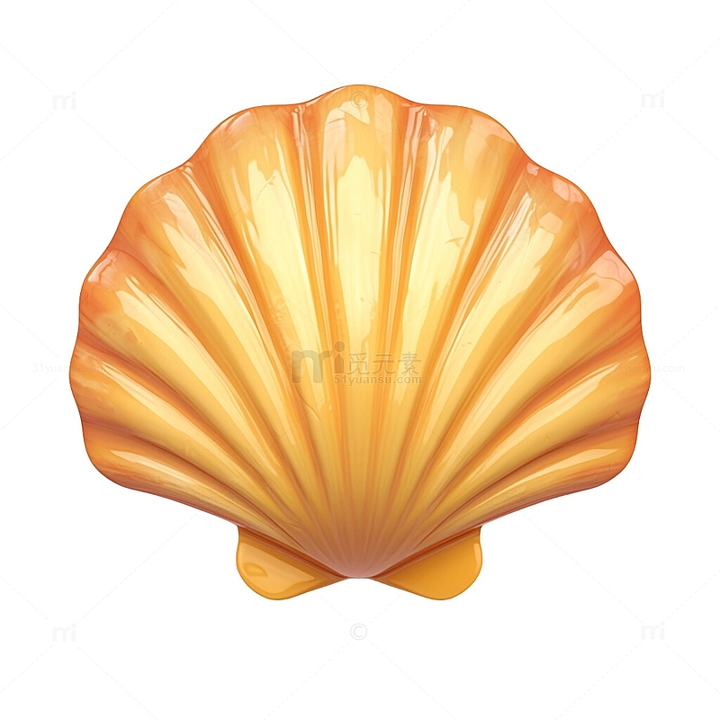 3D贝壳橙色贝壳扇贝