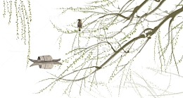 国风柳树柳条春天元素