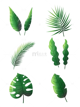 绿叶草叶植物手绘