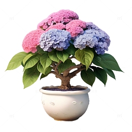 3D立体卡通绣球花盆栽