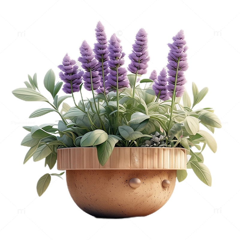 3D立体卡通薰衣草盆栽植物紫色浪漫
