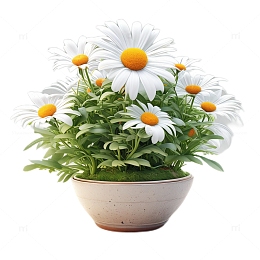 3D立体卡通小雏菊盆栽植物白色