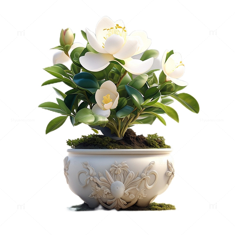3D立体卡通栀子花盆栽植物花朵