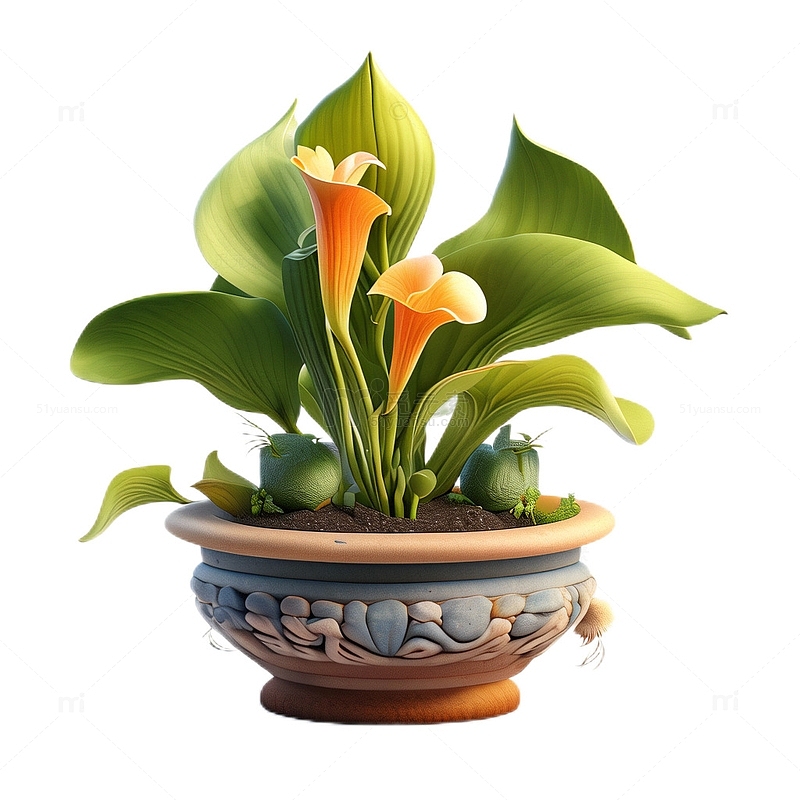 3D立体卡通马蹄莲盆栽植物花朵