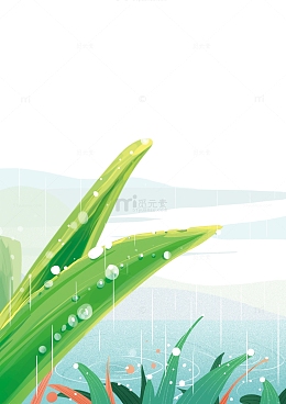滴在青草上的雨滴