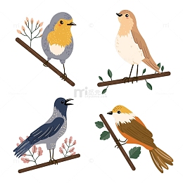 彩色的小鸟卡通