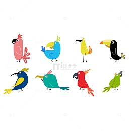 有趣的卡通鸟类集合插图鹦鹉
