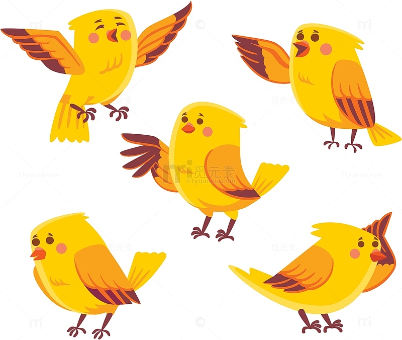 手绘黄色的鸟类合集