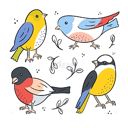 手绘线条彩色的小鸟组合