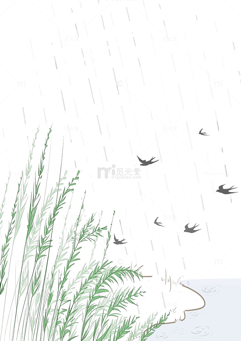 春天雨天的小燕子