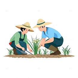 乡村夫妇种田插秧场景