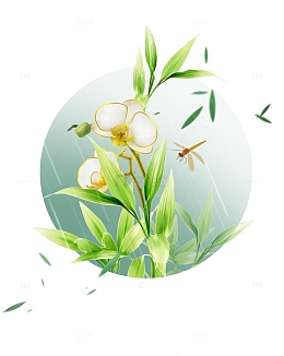 清明谷雨兰花花草元素
