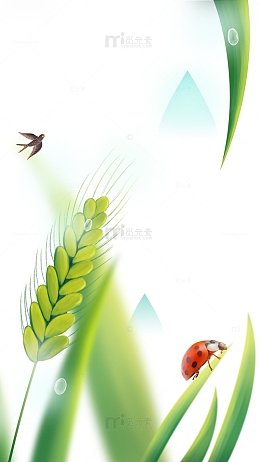 春季雨水植物昆虫