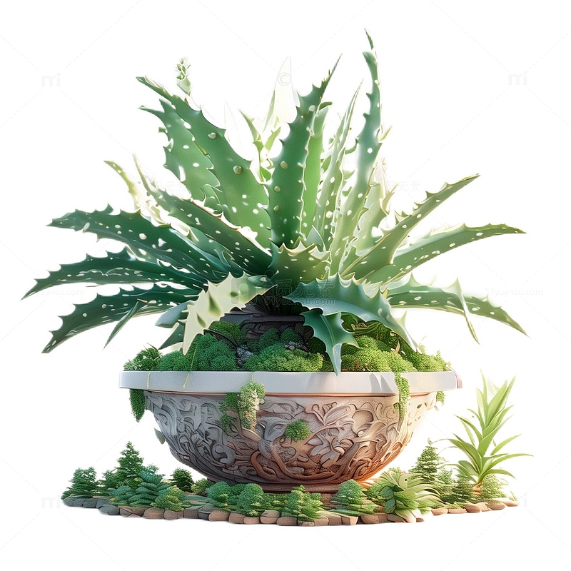 3D立体卡通盆栽芦荟美容绿色植物
