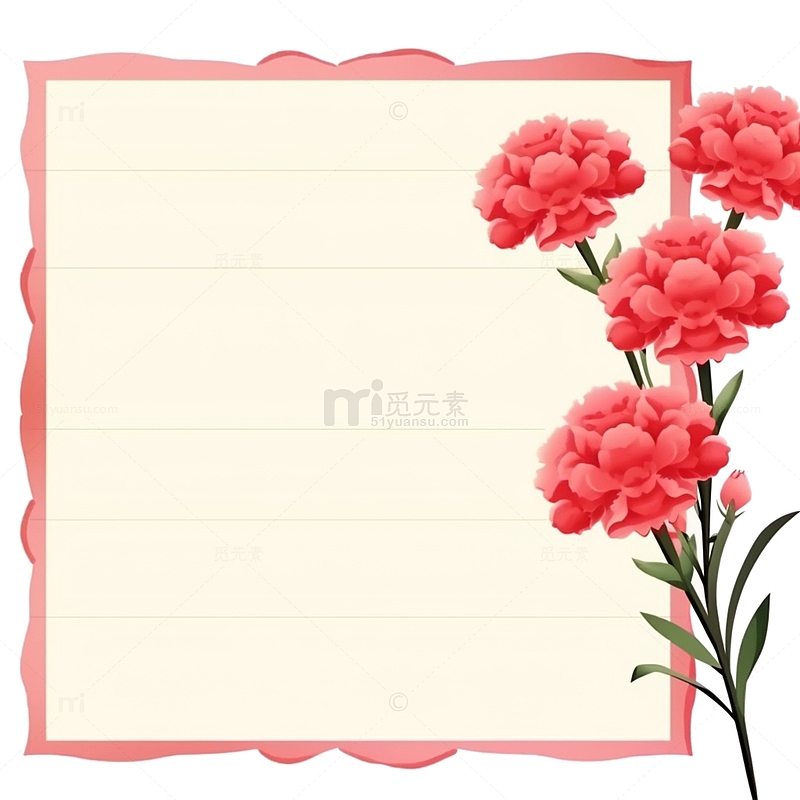 康乃馨花朵装饰信纸
