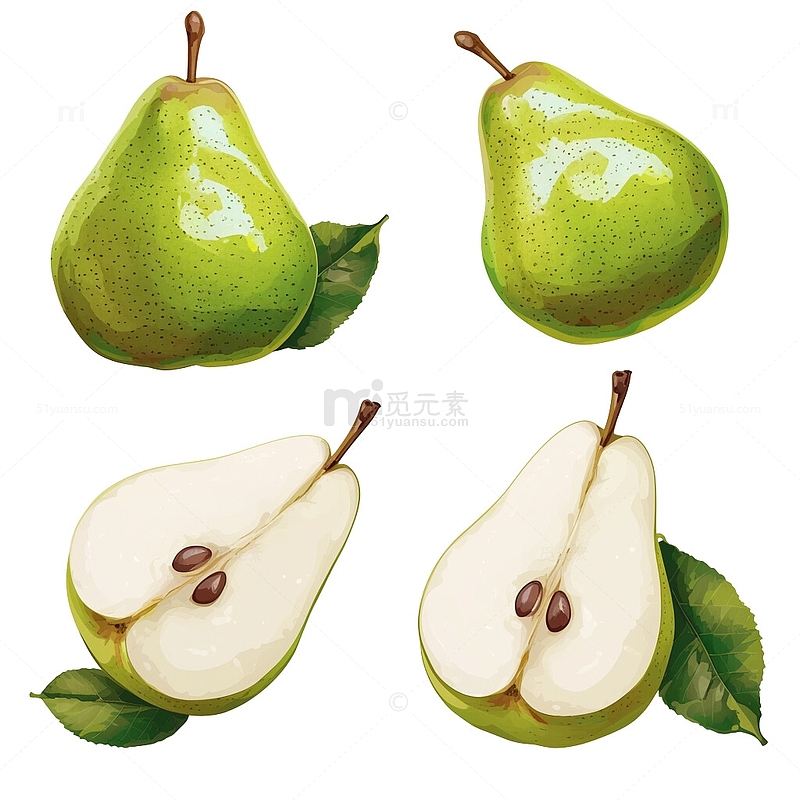 梨子绿色水果插画