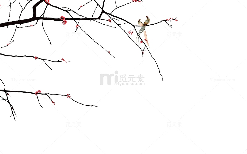 彩绘卡通红梅树枝鸟类