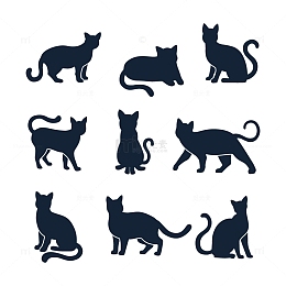 宠物猫的不同形态