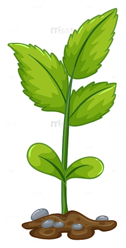 绿茶培育育苗卡通元素