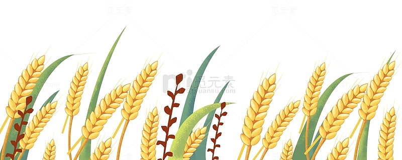 卡通麦穗谷穗麦子