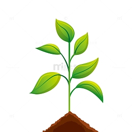 植树节树苗培育
