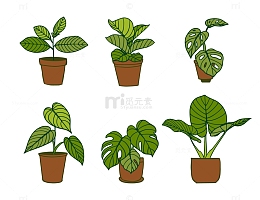 盆栽花盆龟背竹卡通元素
