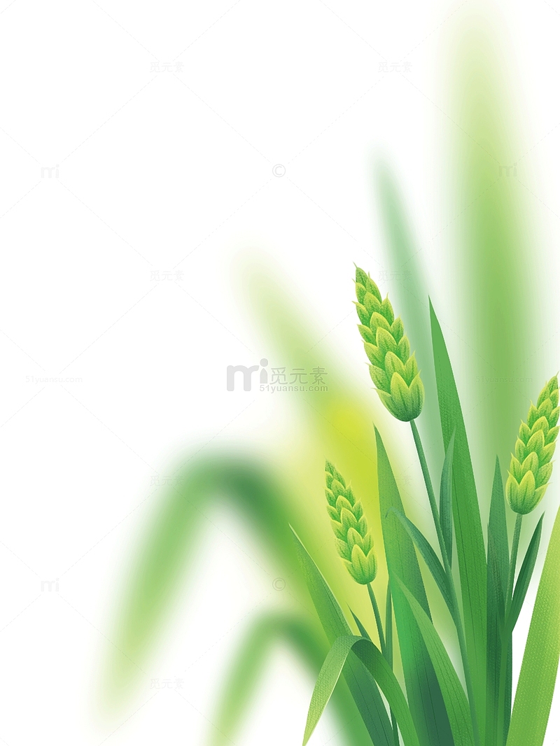 卡通绿色小麦麦穗