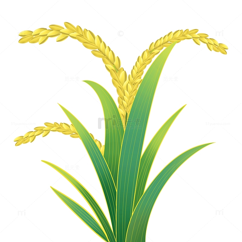 卡通彩绘水稻谷穗