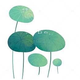 碧绿色荷叶上的水珠