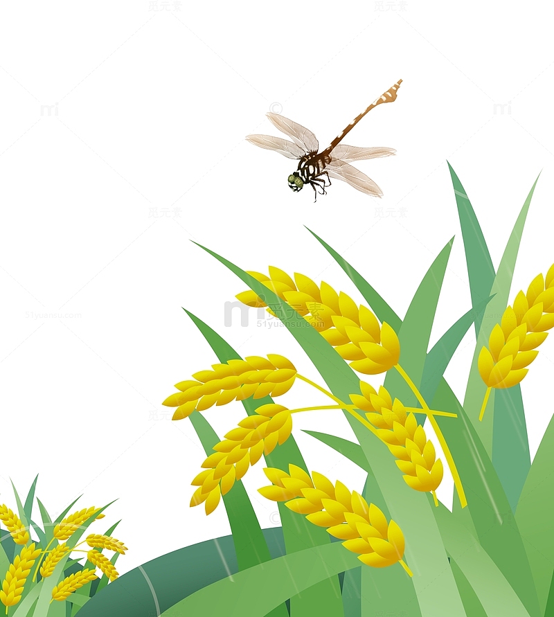卡通绿色麦穗蜻蜓元素